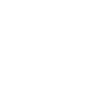 quizz quizz