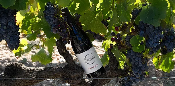 foire-vins-belfort-2026_domaine-carobelle